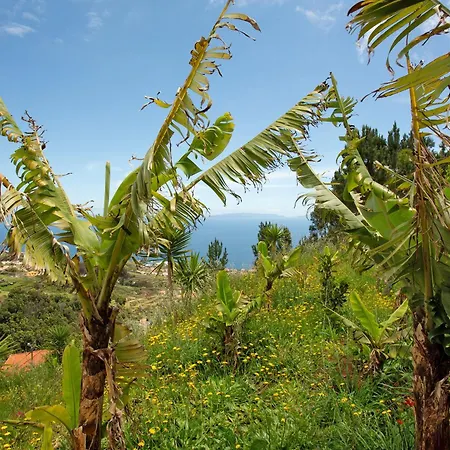 منتزه العطل Private House Mountain كانيكو