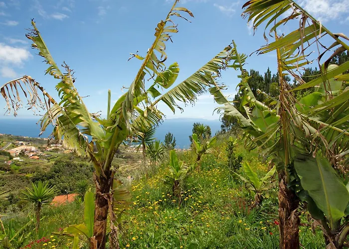 Vakantiepark Private House Mountain Caniço